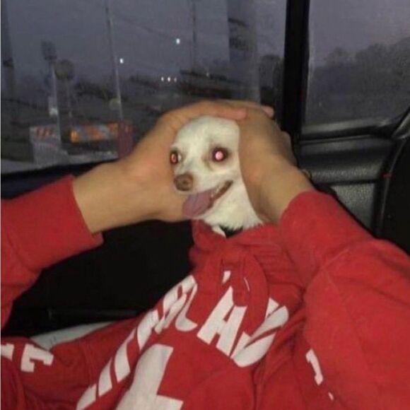 Maison Jules Classic Black Pants - Picture 4 of 5